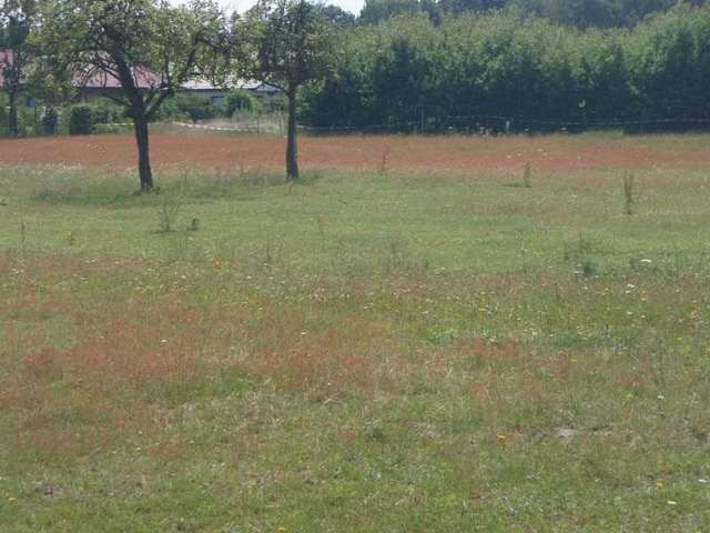 Działka Sprzedaż Goleniów | zdjęcie 2 | szukajlokum.pl