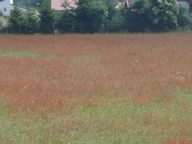 Działka Sprzedaż Goleniów | zdjęcie 5 | szukajlokum.pl