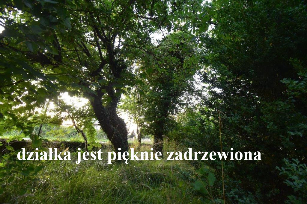 Dom Sprzedaż Będzino Dworcowa, pow. 200 m2 | zdjęcie 12 | szukajlokum.pl