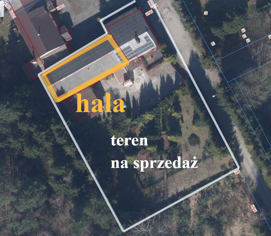 Dom Sprzedaż Sianów, pow. 420 m2 | zdjęcie 8 | szukajlokum.pl