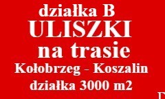 Działka Sprzedaż Będzino | zdjęcie 6 | szukajlokum.pl