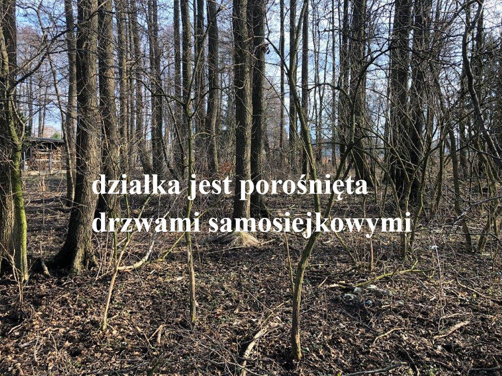 Działka Sprzedaż Koszalin Kretomino | zdjęcie 5 | szukajlokum.pl