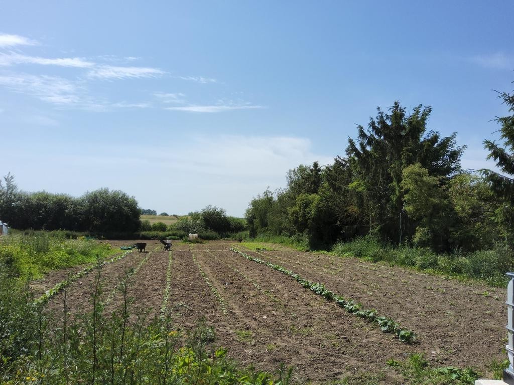 Działka Sprzedaż Kołbaskowo | zdjęcie 1 | szukajlokum.pl