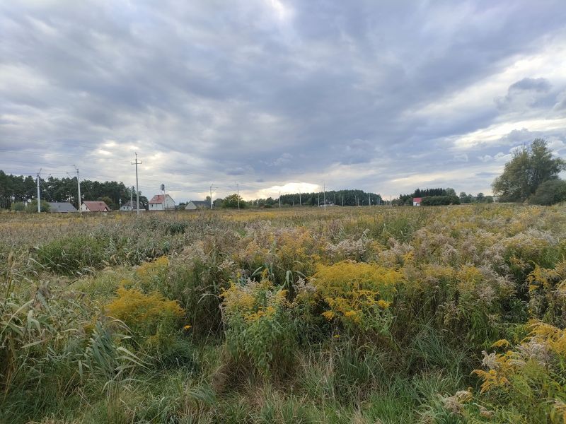 Działka Sprzedaż Szczecin Wielgowo | zdjęcie 4 | szukajlokum.pl