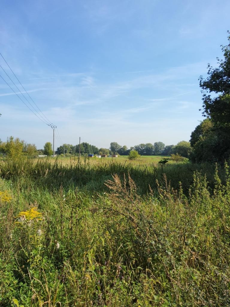 Działka Sprzedaż Dobra (Szczecińska) | zdjęcie 4 | szukajlokum.pl