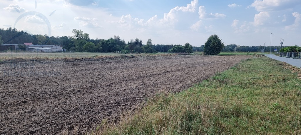 Działka Sprzedaż Zławieś Wielka | zdjęcie 6 | szukajlokum.pl