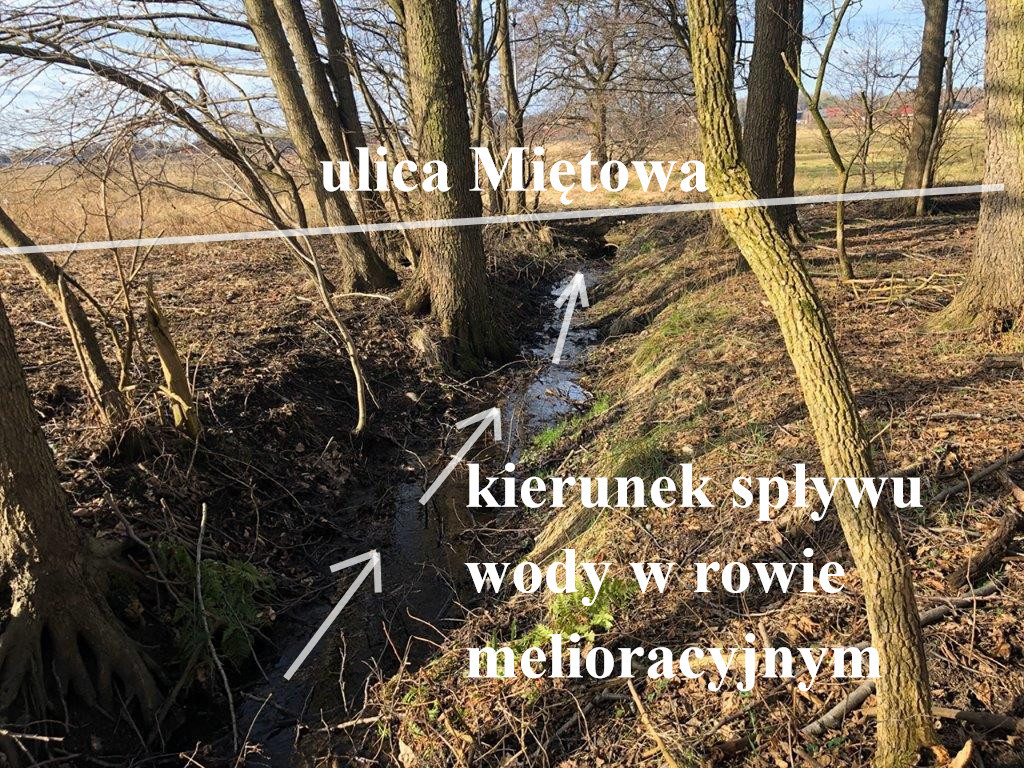 Działka Sprzedaż Koszalin Kretomino | zdjęcie 6 | szukajlokum.pl