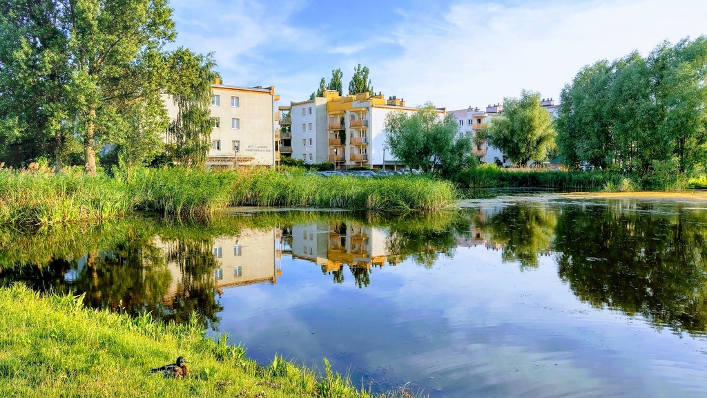 Mieszkanie Wynajem Toruń Mokre świętopełka, pow. 54 m2 | zdjęcie 1 | szukajlokum.pl