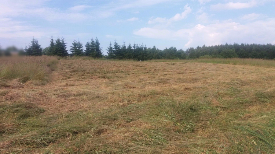 Działka Sprzedaż Rewal | zdjęcie 1 | szukajlokum.pl