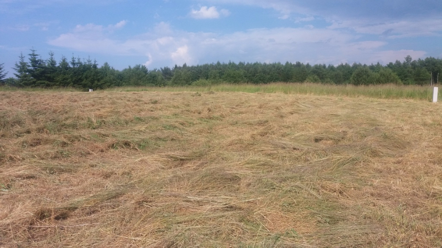 Działka Sprzedaż Rewal | zdjęcie 4 | szukajlokum.pl