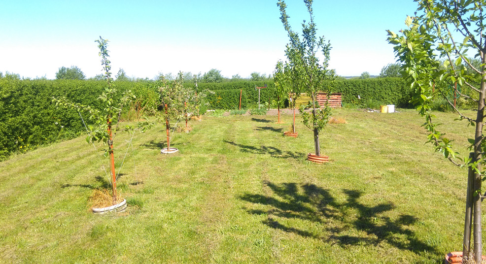 Dom Sprzedaż Darłowo, pow. 150 m2 | zdjęcie 4 | szukajlokum.pl