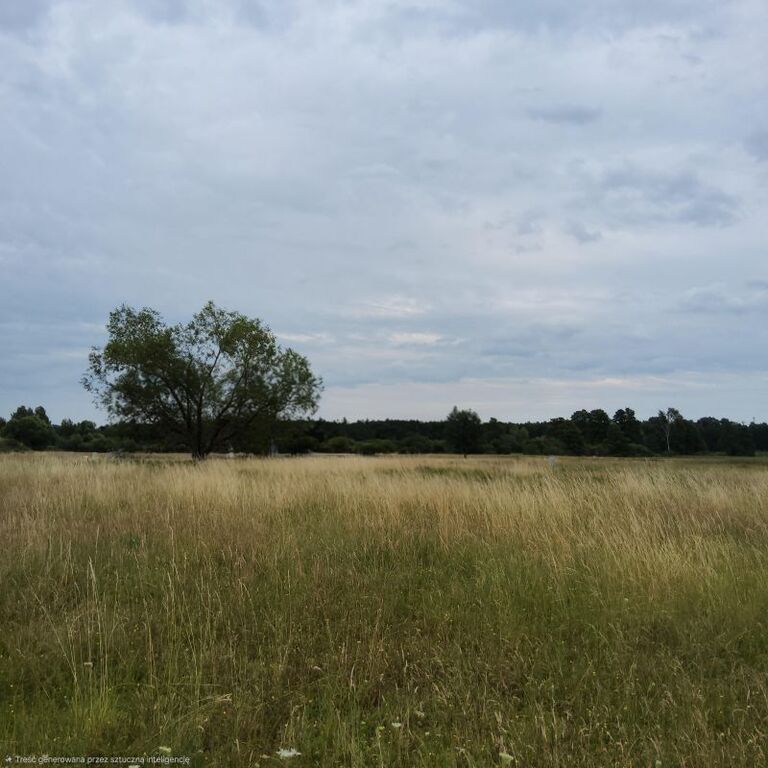 Działka Sprzedaż Dobra (Szczecińska) | zdjęcie 2 | szukajlokum.pl