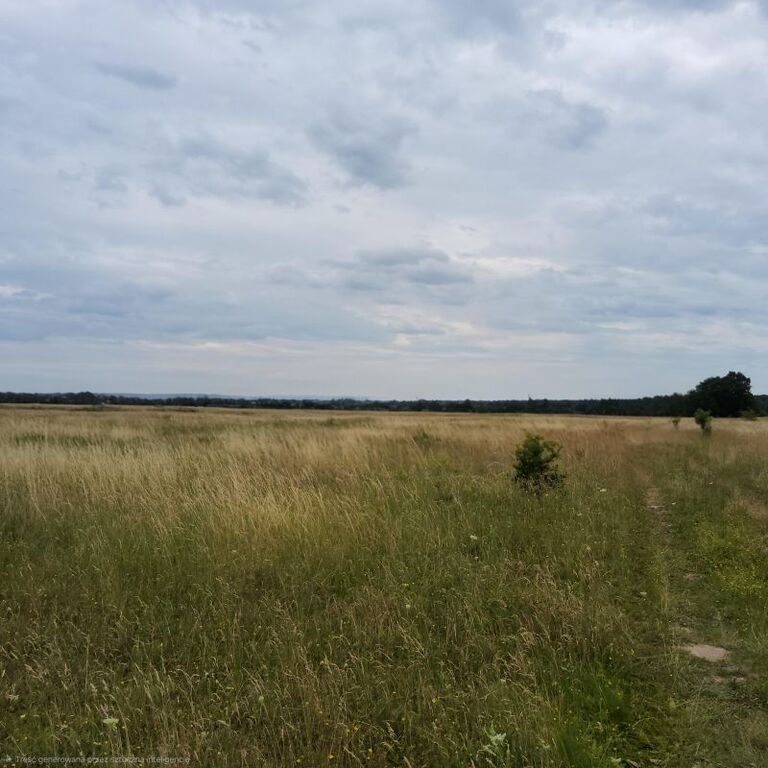 Działka Sprzedaż Dobra (Szczecińska) | zdjęcie 3 | szukajlokum.pl