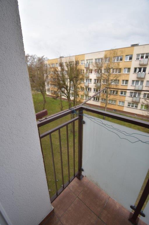 Mieszkanie Wynajem Koszalin, pow. 40 m2 | zdjęcie 5 | szukajlokum.pl