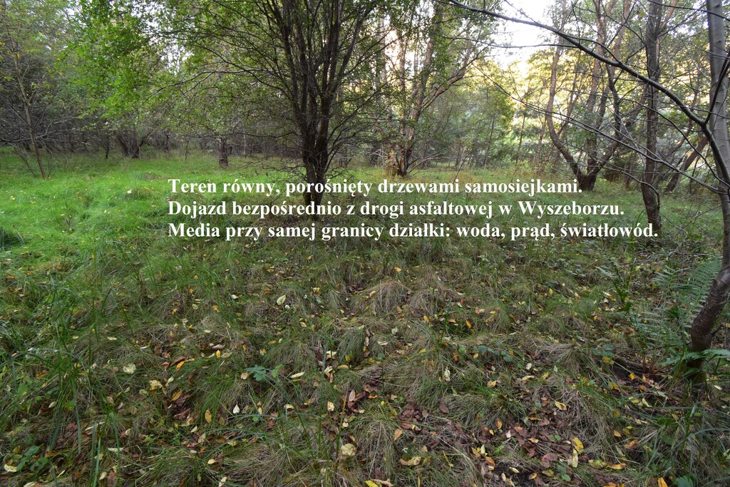 Działka Sprzedaż Manowo | zdjęcie 2 | szukajlokum.pl