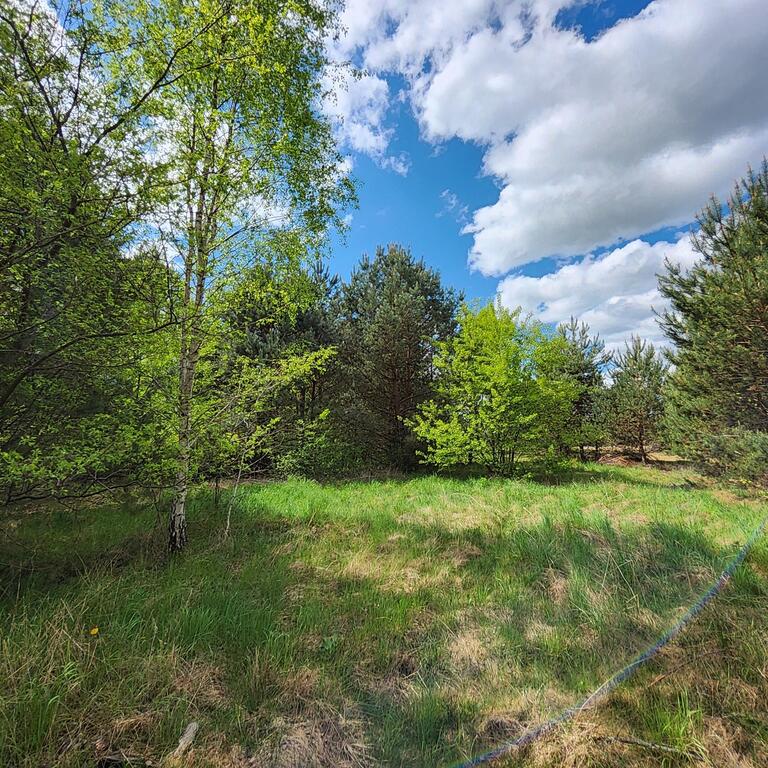 Dom Sprzedaż Drawno Leśna polana, pow. 240 m2 | zdjęcie 9 | szukajlokum.pl