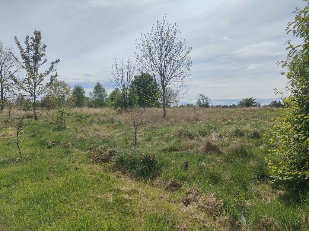 Działka Sprzedaż Karnice | zdjęcie 5 | szukajlokum.pl