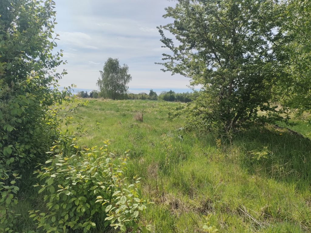 Działka Sprzedaż Karnice | zdjęcie 7 | szukajlokum.pl