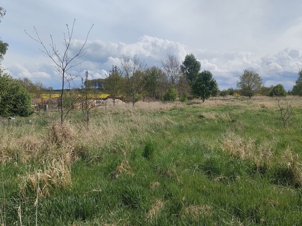 Działka Sprzedaż Karnice | zdjęcie 8 | szukajlokum.pl