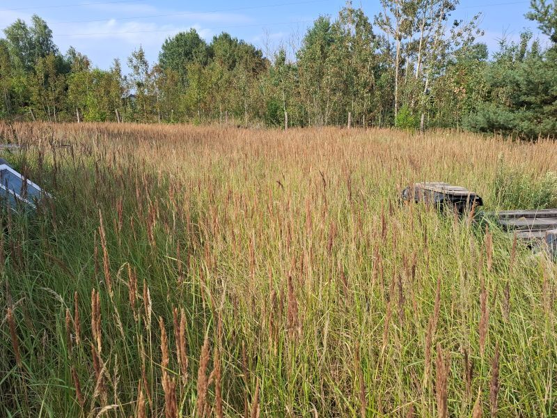 Działka Sprzedaż Dobra (Szczecińska) | zdjęcie 3 | szukajlokum.pl