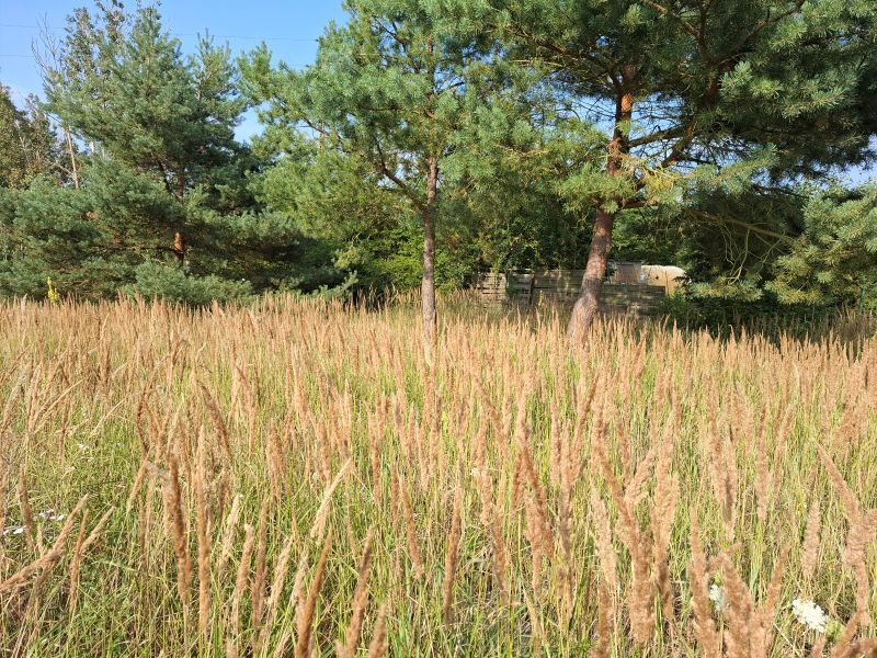 Działka Sprzedaż Dobra (Szczecińska) | zdjęcie 4 | szukajlokum.pl