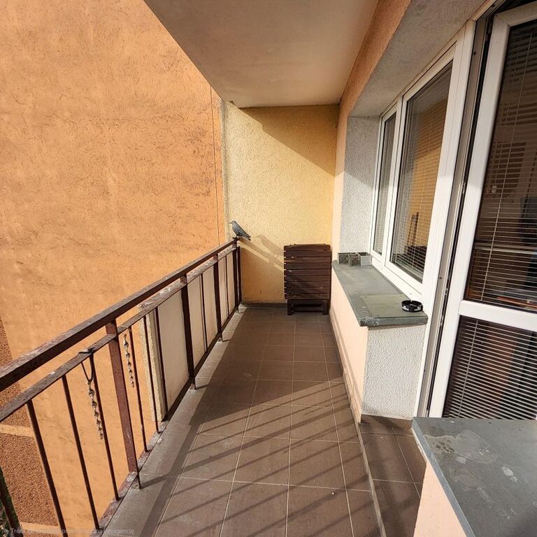 Mieszkanie Wynajem Szczecin Centrum Parkowa, pow. 42 m2 | zdjęcie 1 | szukajlokum.pl