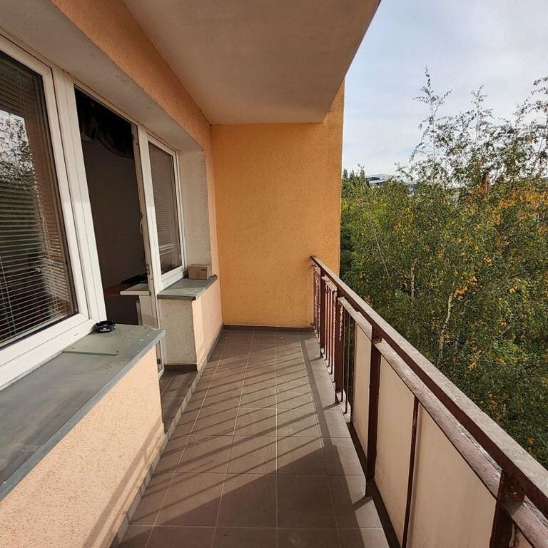 Mieszkanie Wynajem Szczecin Centrum Parkowa, pow. 42 m2 | zdjęcie 2 | szukajlokum.pl